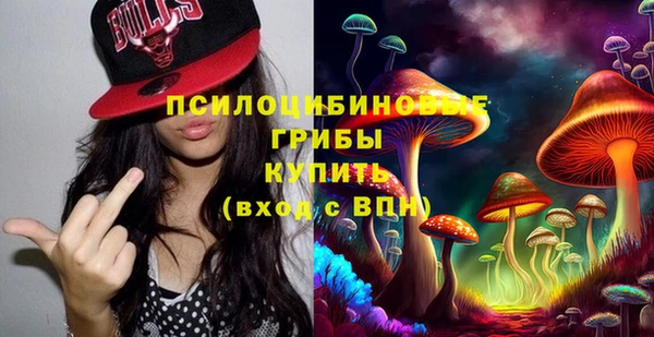 бошки Абдулино