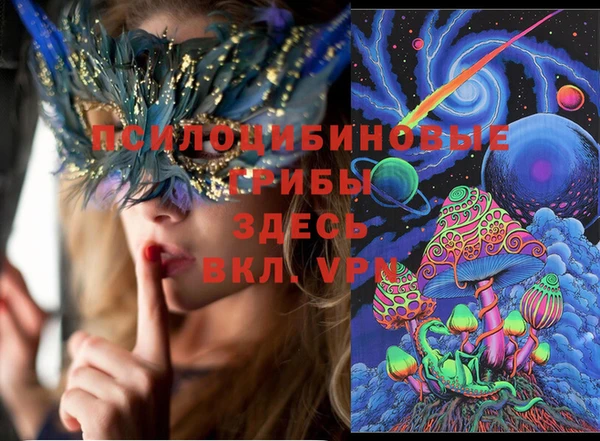 ПСИЛОЦИБИНОВЫЕ ГРИБЫ Абинск