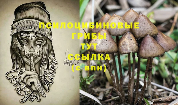 первитин Бежецк