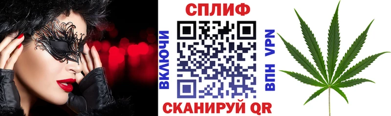 цена наркотик  Моршанск  гидра ССЫЛКА  Бошки марихуана ГИДРОПОН 